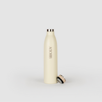 Stainless steel tea bottle